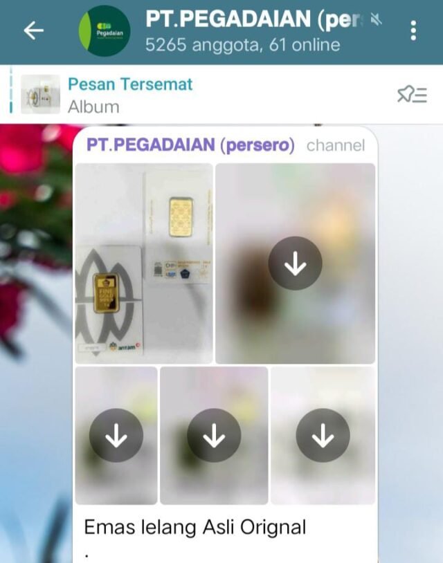 Tangkapan Layar Channel PT Pegadaian (Persore) yang mengadakan lelang barang dan di pastikan bahwa hal itu adalah penipuan. Foto: Dok. Redaksi Visiokreatif.com