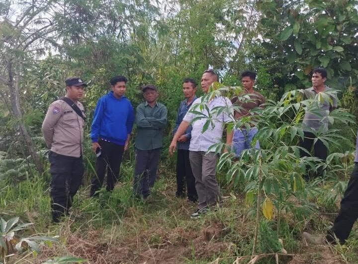 Penemuan Jejak Kaki diduga Harimau di Ladang Mikik Warga. Foto: Dok. Istimewa.