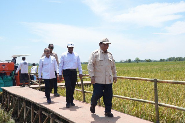 Menko Pangan Zulkifli Hasan (kiri) dampingi Presiden Prabowo Subianto saat panen raya di Majalengka, Provinsi Jawa Barat, pada Senin, 7 April 2025. Foto: Dok. Istimewa