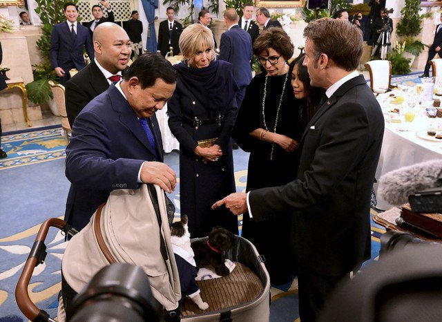 Presiden Prancis Emmanuel Macron bertemu dengan Bobby Kertanegara di Istana Kepresidenan. Foto: Dok. Muchlis Jr - Biro Pers Sekretariat Presiden