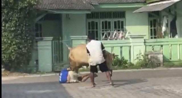 fasilitas kafe. Foto: Dok. Istimewa