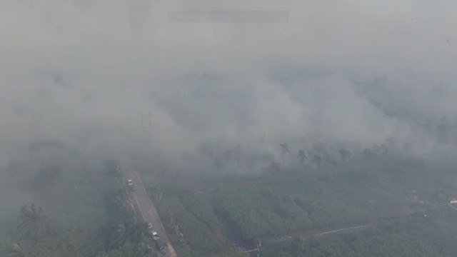 Kabut asap tebal akibat kebakaran hutan dan lahan selimuti wilayah Kabupaten Rokan Hulu, Riau, Rabu (23/7/2025). Foto: Dok. Polda Riau