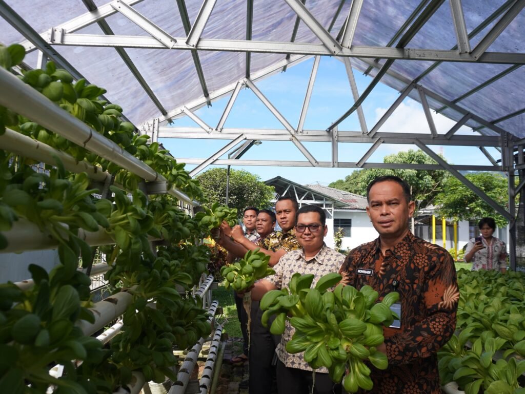 Kepala Lapas Kelas IIA Sibolga Novriadi dan Jajarannya saat memanen sayur hasil Program pembinaan Warga Binaan. Foto; dok. Lapas Kelas IIA Sibolga.