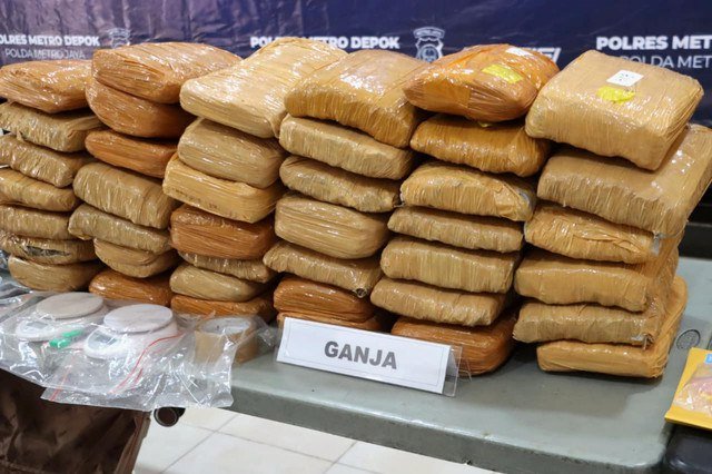 Satuan Reserse Narkoba (Satresnarkoba) Polres Metro Depok mengungkap kasus peredaran narkoba jenis ganja dengan total barang bukti mencapai 78,657 kilogram. Foto: Dok. Polres Depok