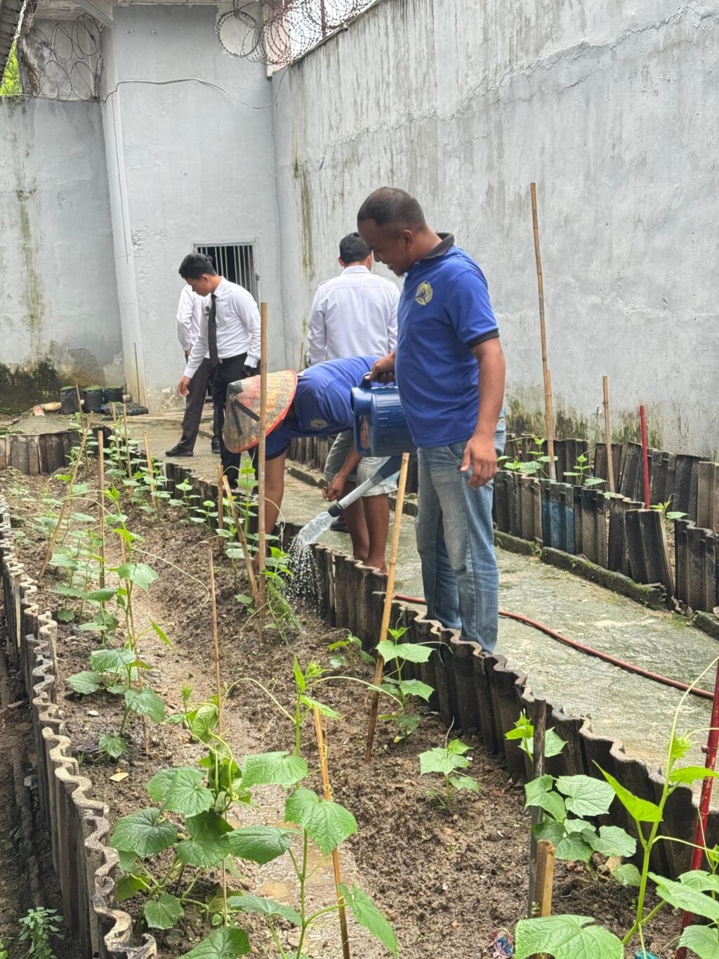 Wargan Binaan Pemasyarakatan Lapas Kelas IIB Tebing tinggi saat melakukan penyiraman pada Tanaman. Foto: Dok Lapas Kelas IIB Tebing Tinggi.