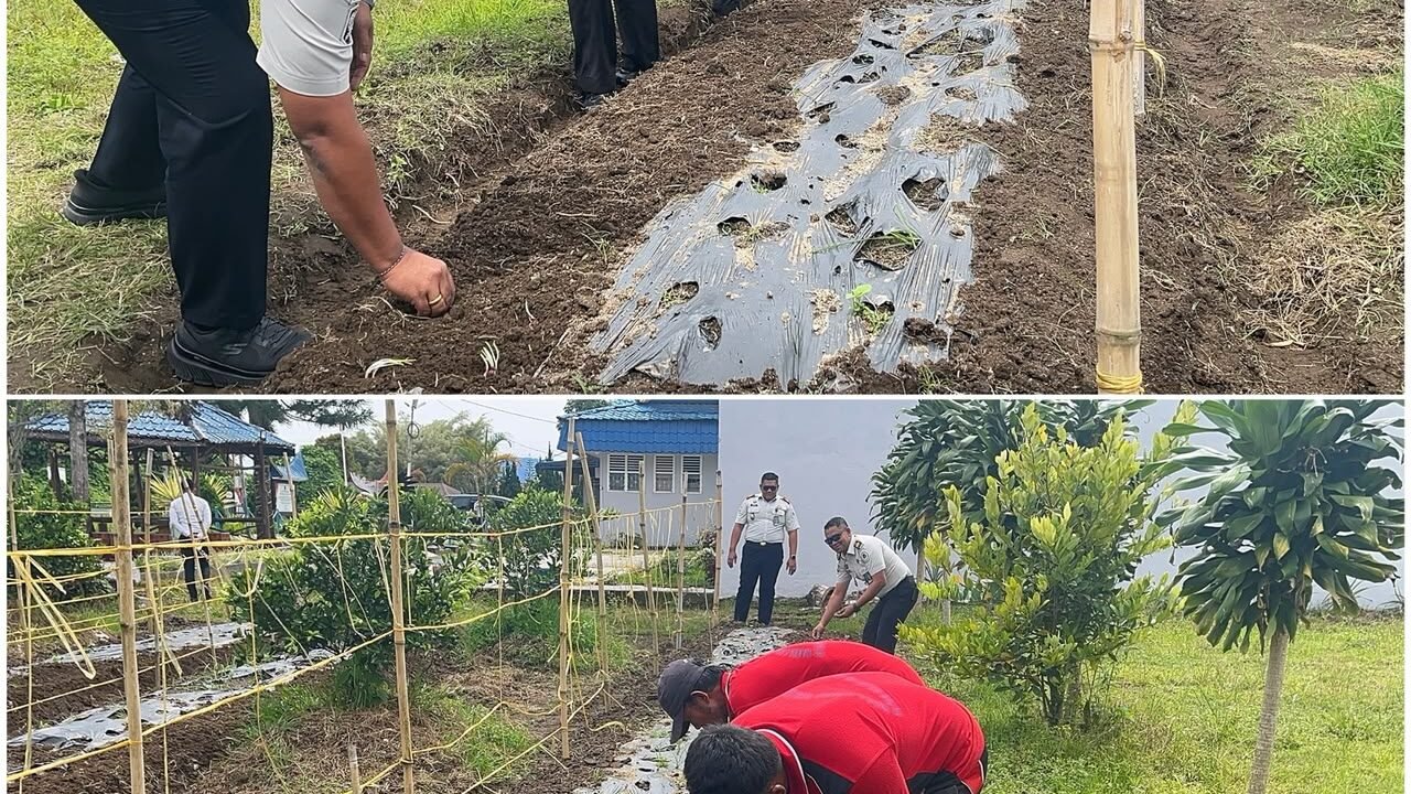 Rutan Sidikalang saat budidaya Bawang Merah, guna Memanfaatkan Lahan SAE untuk ketahanan Pangan. Foto: istimewa.