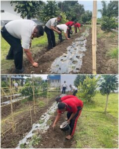 Rutan Sidikalang saat budidaya Bawang Merah, guna Memanfaatkan Lahan SAE untuk ketahanan Pangan. Foto: istimewa.