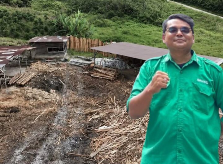 Tim Gakkum Kehutanan Berhasil Membongkar Modus Peninbunan Kayu Ilegal di Sawmil UD ALL di Kabupaten Humbang Hasundutan, Sumatera Utara / Direktur Eksekutif Sahabat Lingkungan (SALING) Andi Simanjuntak. Foto: Istimewa.