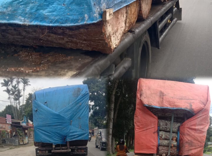 Modus Pengangkutan Kayu yang di tutupi terpal, melintasi di Jalan Sisingamangaraja Kota Pematangsiantar, Sumatera Utara. Foto: Investigasi.