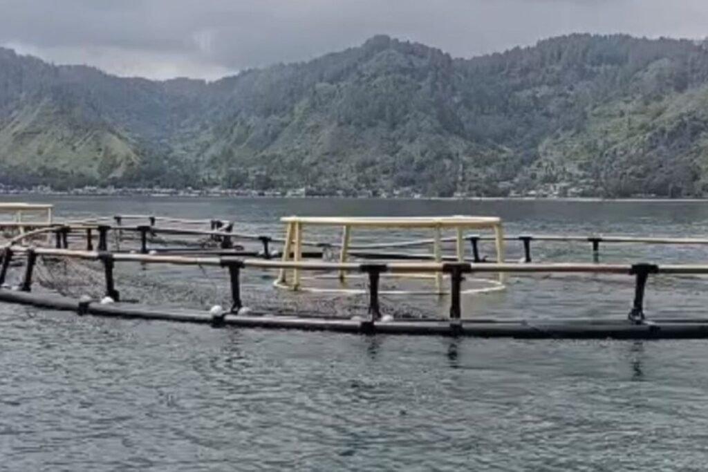 Keramba Jaring Apung (KJA) milik salah satu perusahaan yang sudah berada di perairan Danau Toba wilayah Kecamatan Haranggoal. Foto: net.