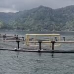 Keramba Jaring Apung (KJA) milik salah satu perusahaan yang sudah berada di perairan Danau Toba wilayah Kecamatan Haranggoal. Foto: net.