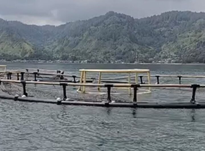 Keramba Jaring Apung (KJA) milik salah satu perusahaan yang sudah berada di perairan Danau Toba wilayah Kecamatan Haranggoal. Foto: net.