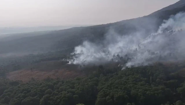 Pantauan udara kebakaran hutan dan lahan di Taman Nasional Gunung Ciremai. Foto: Dok. BPBD Jabar